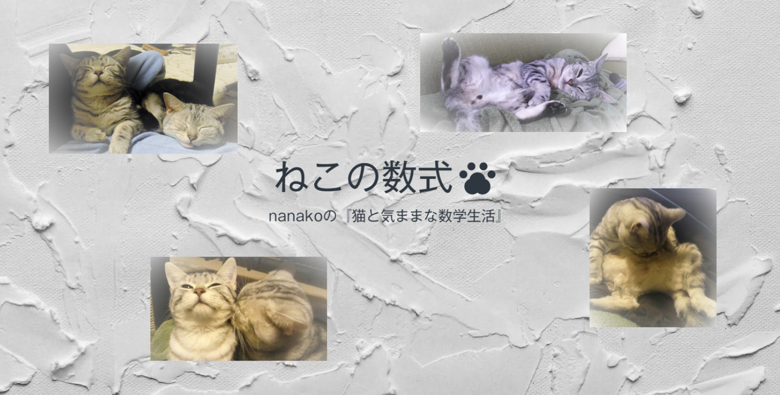 分かりやすい 展開 因数分解 たすき掛けが簡単にできちゃう ねこの数式